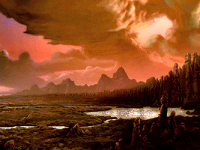 Wulong Forest picture